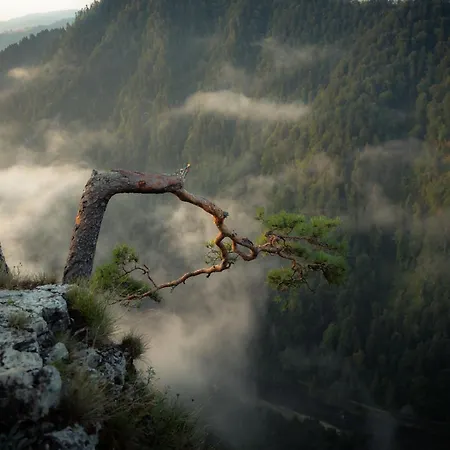 Maria & Pieniny
