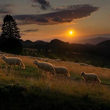 Hotel Maria & Pieniny 3*